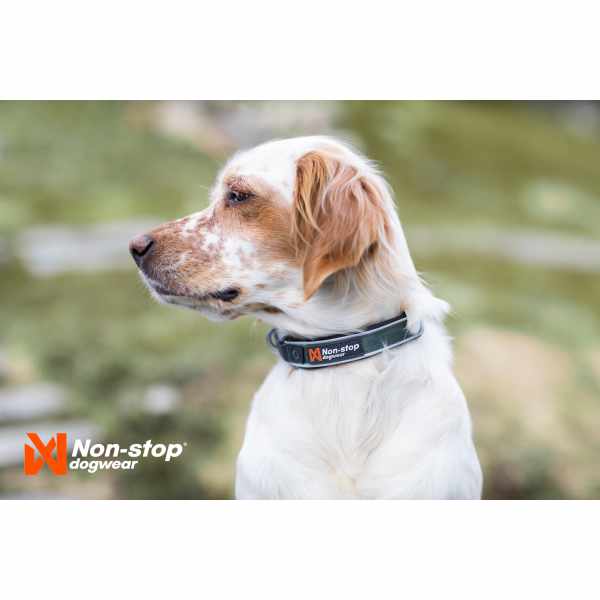 Non-Stop Dogwear Roam Hundehalsbånd - Billede 4