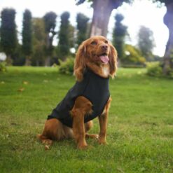 Siccaro Jagthundevest Pro-Tech Vest, Sort - Billede 4