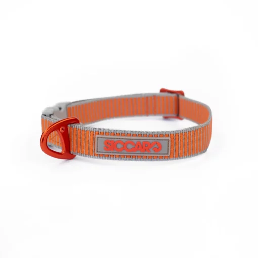 Siccaro Sealines Hundehalsbånd, Orange, 36-51cm