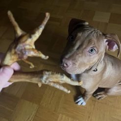 Kyllingefødder, Naturlig Hundesnack 100g Kauartikel