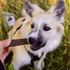 Tikki Naturlig Hundesnack Meatstips Vildsvin 100g