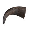 Whesco Buffalo Horn kraftig Naturlig Hundesnack 18-25 cm 1 stk