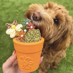 Sodapup Flower Pot Aktivering Slowfeeder Orange