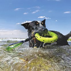 Kong Reflex Tug Ring m. Håndtag Apport og Vandlegetøj Til Hund 40 cm