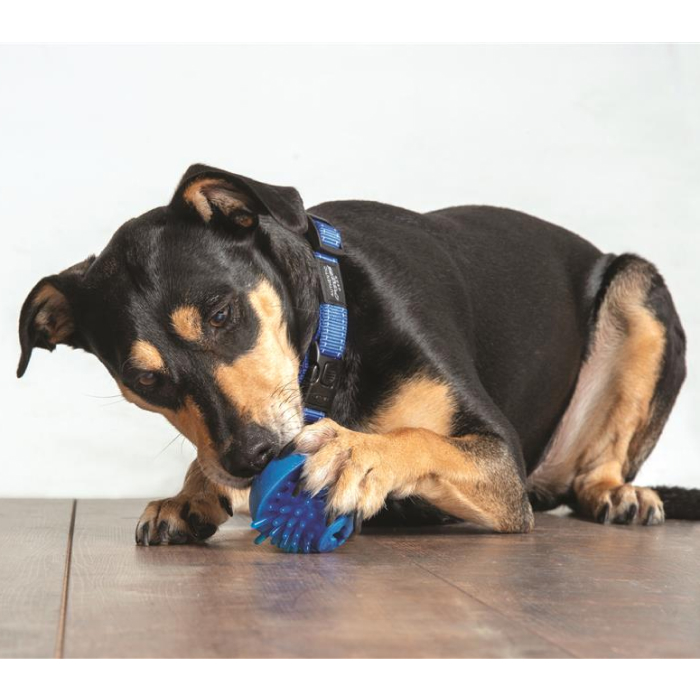 Rogz Hundelegetøj for Tandpleje Bold Ø6cm Rød