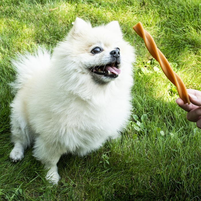 Garden bites fruity dental swirls 13 cm Snack til Hund - 30stk