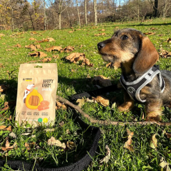 Croci Smagfuld snack til hund m Laks & Græskar 80 g