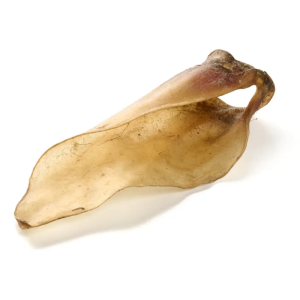 Kauartikel Kalveører Stor Med Muskel, Naturlig Snack til hund 1 stk