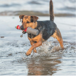 Trixie Aqua legetøj fyrtårn i TPR Flyde Hundelegetøj 20 cm