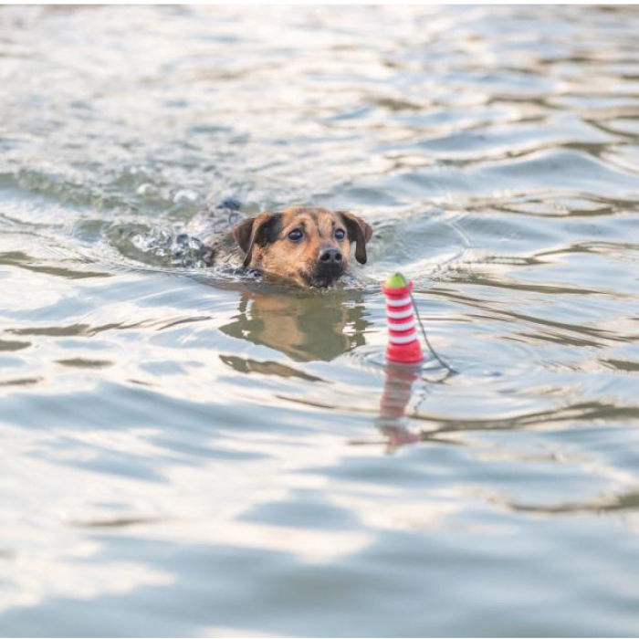 Trixie Aqua legetøj fyrtårn i TPR Flyde Hundelegetøj 20 cm - Billede 2