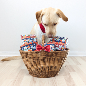 Årets Juletema Adventskalender til hund (Forudbestilling)