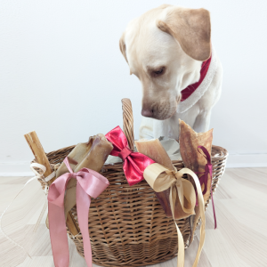 Årets Naturlig Snack kalendergave til hund (Forudbestilling)