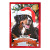 TreatTime Julekalender Hundesnack m. 4 varianter 100g