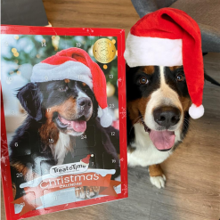 TreatTime Julekalender Hundesnack m. 4 varianter 100g - Billede 3