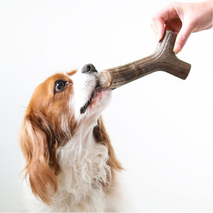 Benebone Maplestick Slidstærkt Legetøj til hund Ahorn smag, Lugtfri, M, 17cm - Billede 2