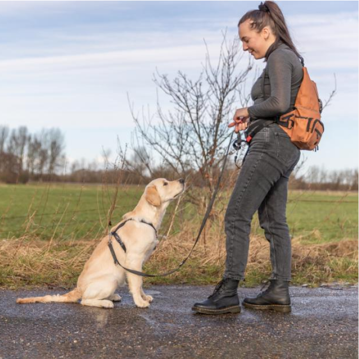 Trixie hoftetaske og rygsæk plads til godbidder og hundeudstyr, Rust farvet - Billede 5