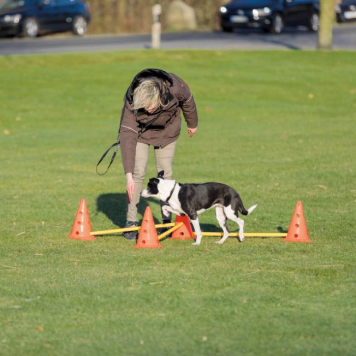 Trixie Hunde træning Agility/ Activity forhindrings sæt