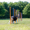 Trixie Hunde træning Agility Slalompinde, 12 stk/ 115 cm
