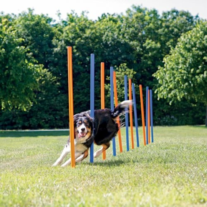 Trixie Hunde træning Agility Slalompinde, 12 stk/ 115 cm