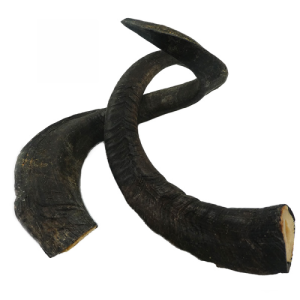Whesco Naturlig hundesnack Gedehorn 1 stk L 120g
