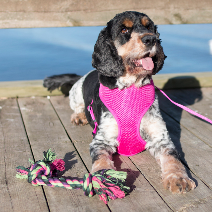 Dogman Hundelegetøj Vixen reb med 2 knuder 20cm