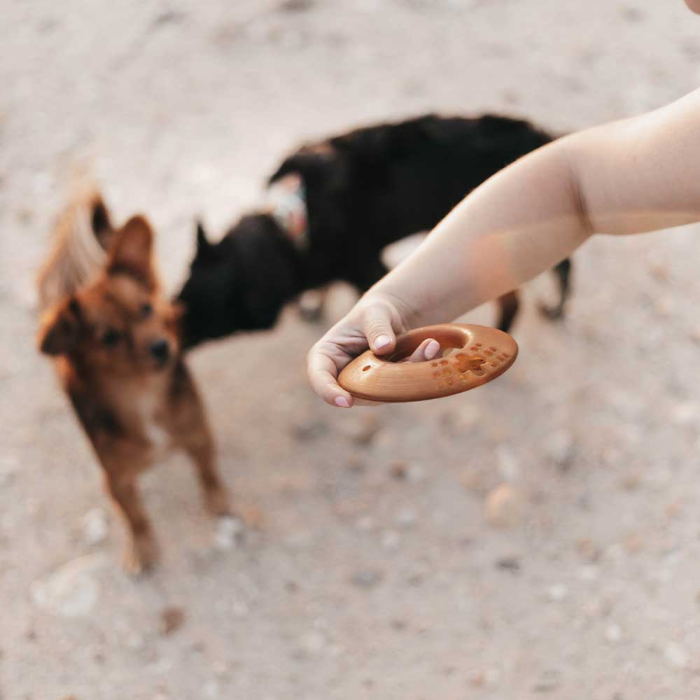 Retorn - Slidstærkt tygge legetøj til hund 100 % Øko harpiks, Rub Fly, EU