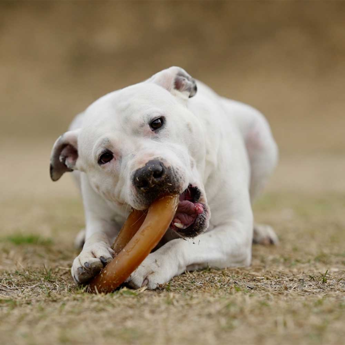 Retorn - Slidstærkt tygge legetøj til hund 100 % Øko harpiks, Rub Fly, EU - Billede 3