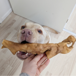Treattime Oksepandelapper Sund Naturlig God Tyggesnack 30 cm 1 stk, Fra EU