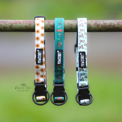 Pawstory Trail Buddy Halsbånd til Hund - Little Adventurer