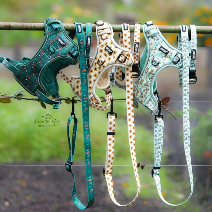 Pawstory Trail Buddy Harnass Sele til Hund - Little Adventurer