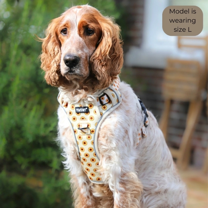 Pawstory Trail Buddy Harnass Sele til Hund - Sunny Blossoms - Billede 2