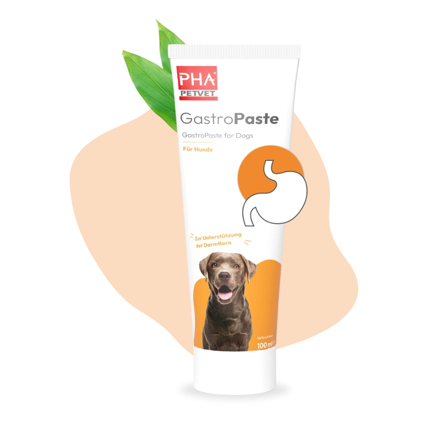 Pha Gastropaste For sund fordøjelse, Fodertilskud til Hund 100 ml