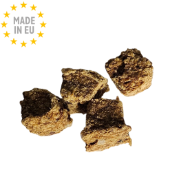 Spirit of Wild Mono protein Godbid til hund 100 % Hest ,100g, Fra EU