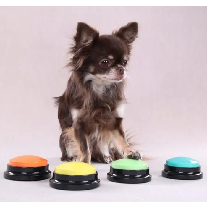 Forstå din hunds behov Kommandoknap til Hund, Ø 8,8 cm. Ass Farve