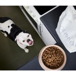 Globe Buddy Brown, premium Foder Til Hund med insektprotein 3,75 kg