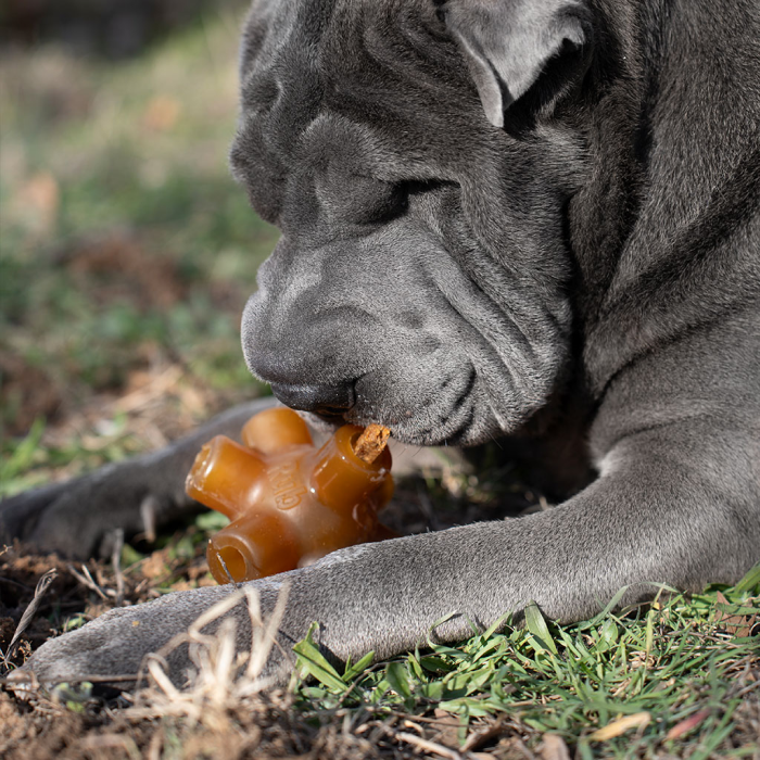 Retorn Duck Sticks - 100 % Naturlig snack der passer til dit Retorn legetøj til hund/ Hvalp, And, 100g, EU - Billede 2