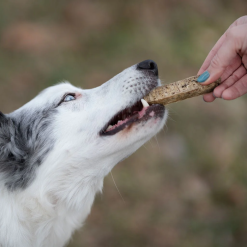 Retorn Salmon Sticks - 100 % Naturlig snack der passer til dit Retorn legetøj til hund, Laks, 100g 2x 2cm, EU - Billede 3