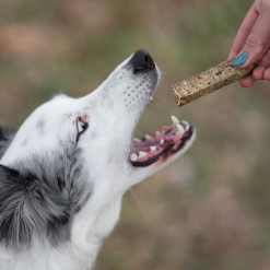 Retorn Turkey Sticks - 100 % Naturlig snack der passer til dit Retorn legetøj til hund, Kalkun, 100g 2x 2cm, EU