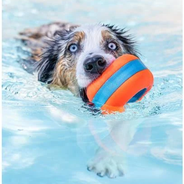 Chuckit Amphibious Roller Flyde legetøj til hund 10 cm - Billede 2