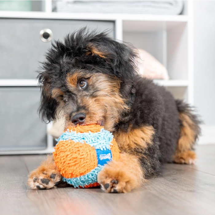 Chuckit! Indoor Ball - Blød bold Legetøj til Hund, 11 cm