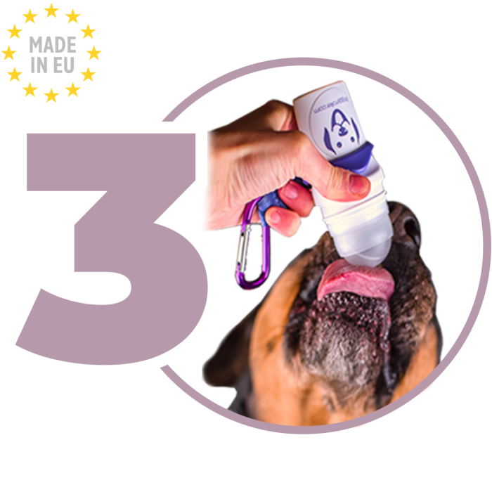 Doggyshake Energy - Instant Pulver/Drikke Tilskud Til Hunde, 24 Pak - Billede 4