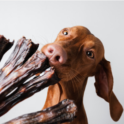 Naturlige hundesnacks