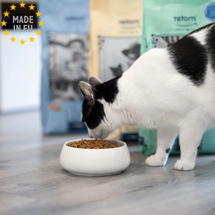 Retorn Sundt tørfoder til Kat Med Fisk & Sød kartoffel, 500g EU - Billede 2