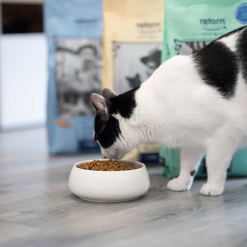 Retorn Light Sundt tørfoder til Steriliseret Kat Med Kylling & Sød kartoffel, 500g EU