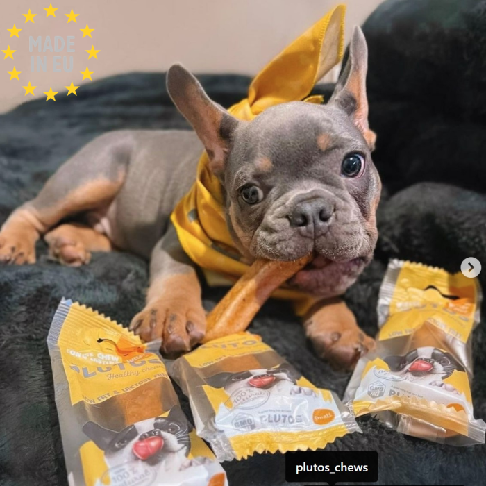 Plutos Healthy chews 100 % Naturlig Tandrendende Oste tyggeben m. Ande smag Large