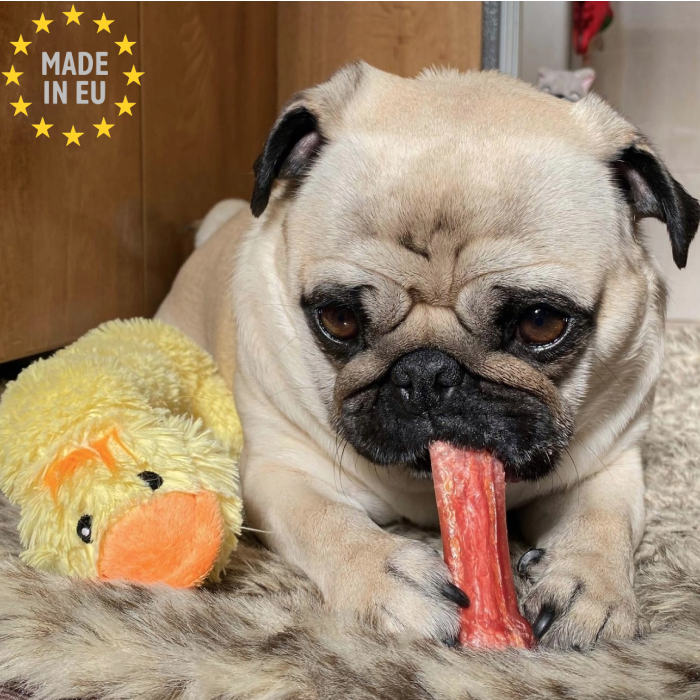 Plutos Healthy chews 100 % Naturlig Tandrendende Oste tyggeben m. Okse smag Medium, EU