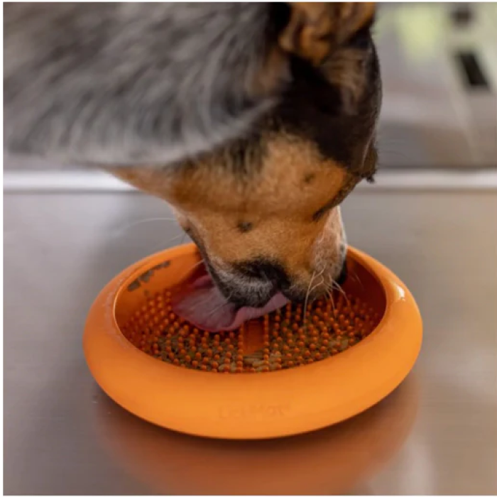 LickiMat Ufo, Slow feeder Skål til hund 100% Naturgummi Ø19x19 cm - Billede 3