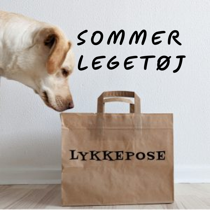 Lykkepose - Sommer Legetøj