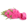 AFP Dig It Dragefrugt snuse legetøj til Hvalp/ Hund, Pink, 60 cm