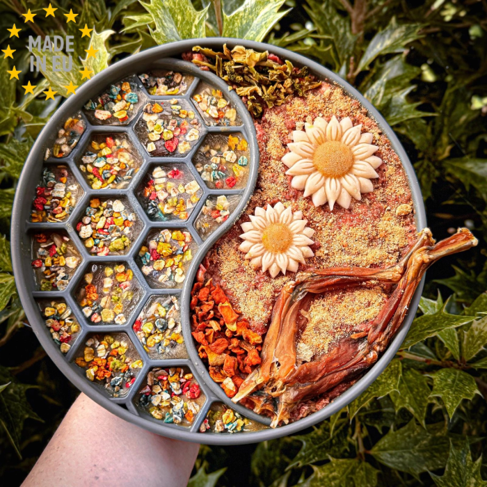 Hundeglads Inspirations pakke – Giv din hund den ultimative madoplevelse - Billede 4